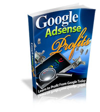 Google Adsense Profits